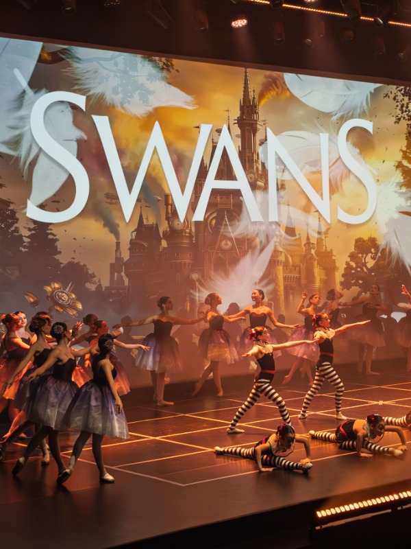 Swans