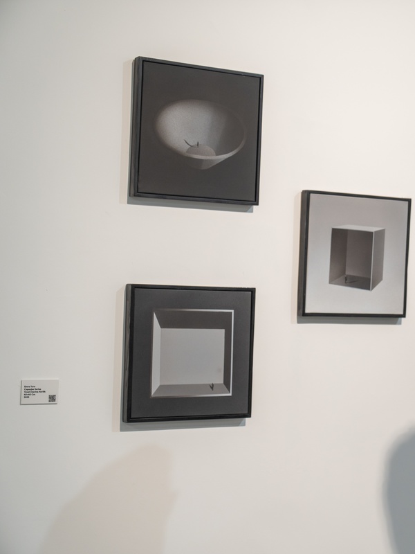 Taksim Sanat'ta 60 Eser, 21 Haziran'a Uzadı