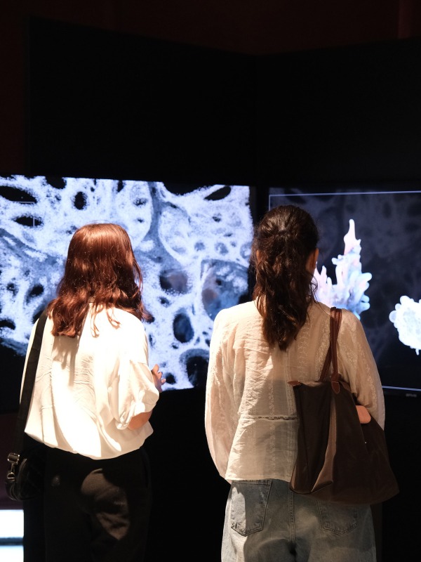 Dijital Sanat AKM'yi Ele Geçirdi: IDAF 6. Yılında