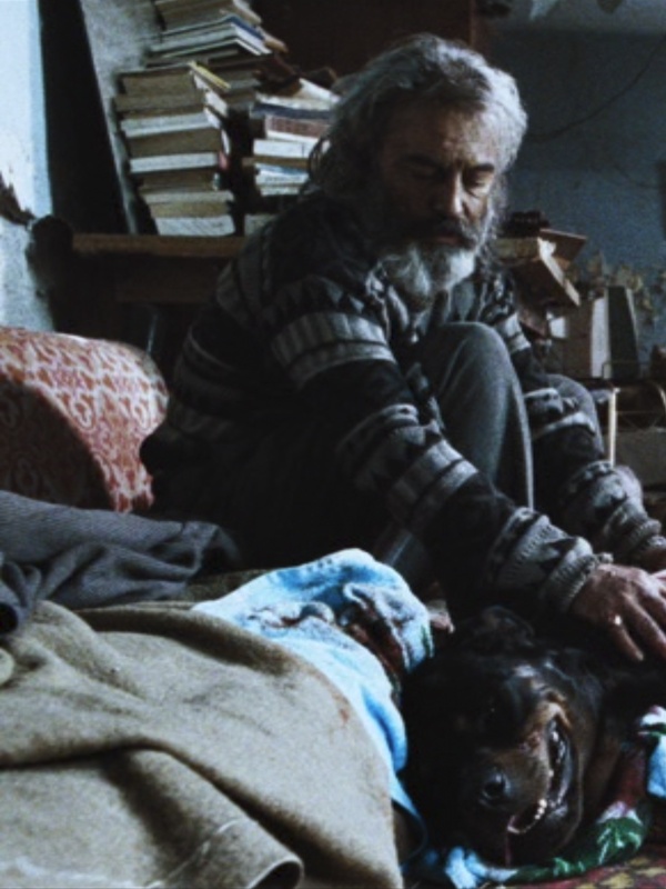 Paramparça Aşklar Köpekler, 25. Yılında MUBI'de