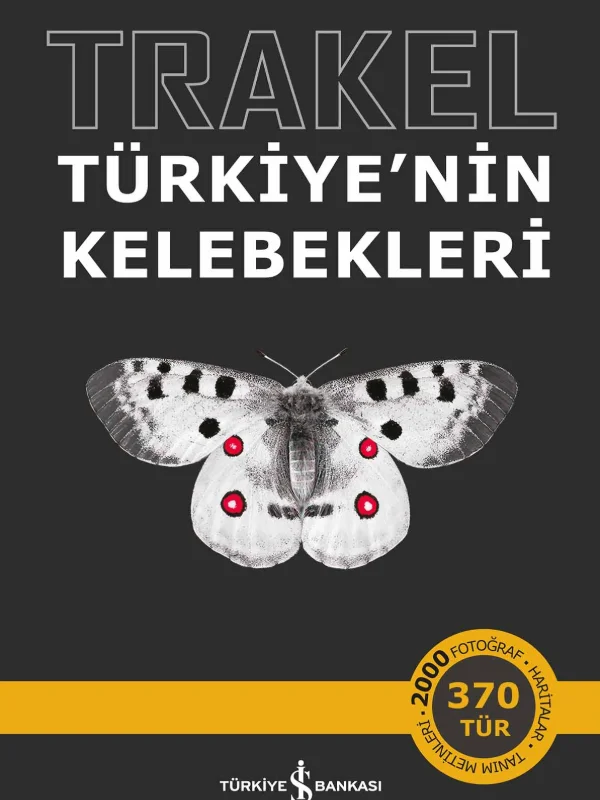 İş Kültür Yayınları'ndan Temmuz Ayının En Yeni Kitapları