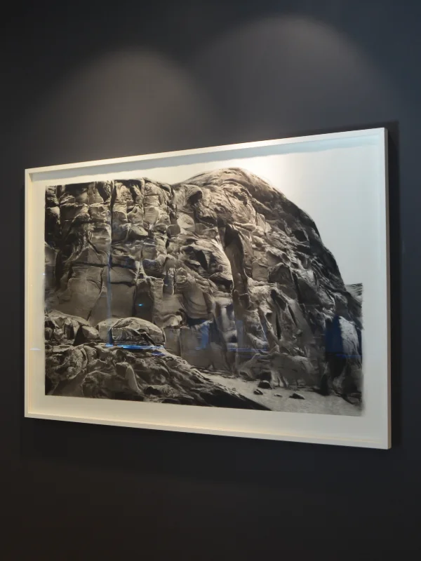 Symphony Of The Earth Sergisi Galeri Işık Teşvikiye'de Açıldı