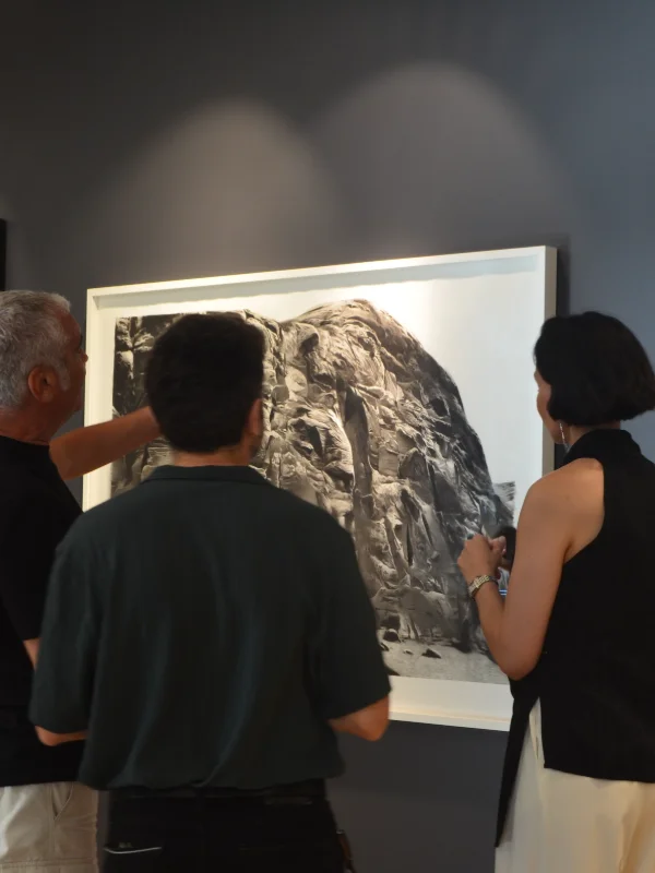 Symphony Of The Earth Sergisi Galeri Işık Teşvikiye'de