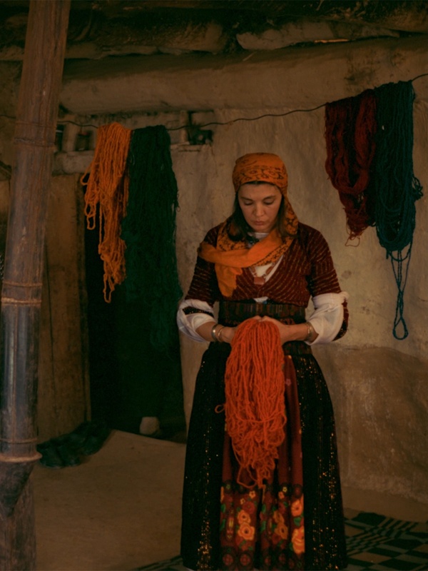 Barajdan Sızanlar Sergisi, Erden Kıral Filmleriyle Devam Ediyor
