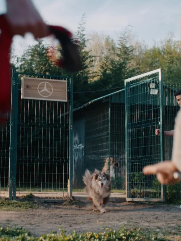Mercedes-Benz Ve HAÇİKO'dan Köpeklere Özel 'İlk Yolculuk' Filmi