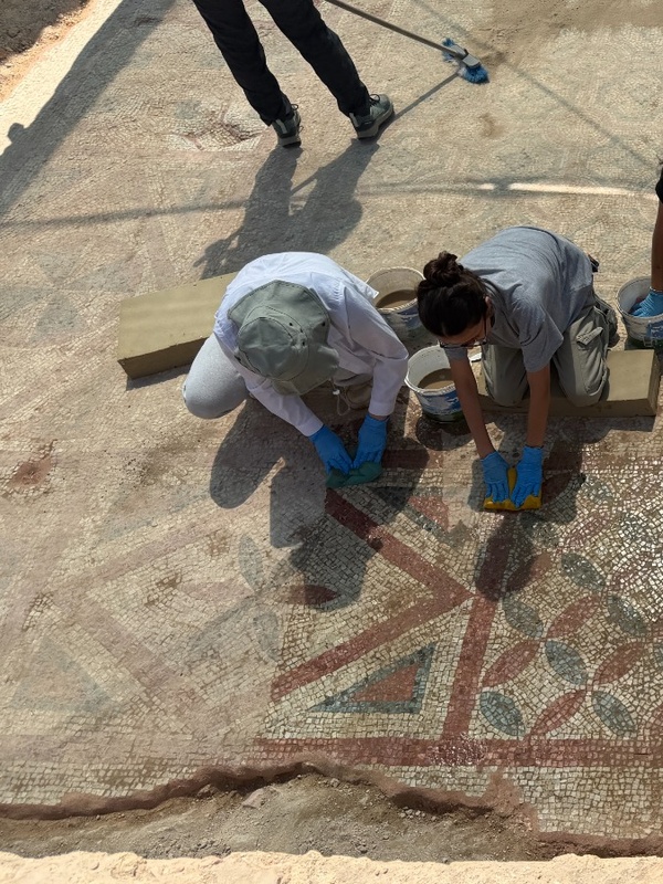 Pompeiopolis'te 105 Metrekarelik Mozaik ve Eros Başı Bulundu