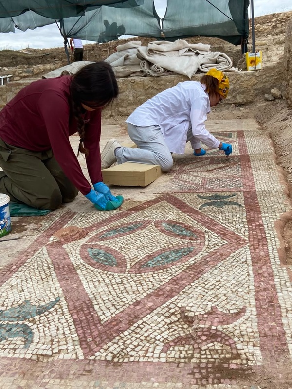 Pompeiopolis'te 105 Metrekarelik Mozaik ve Eros Başı Bulundu