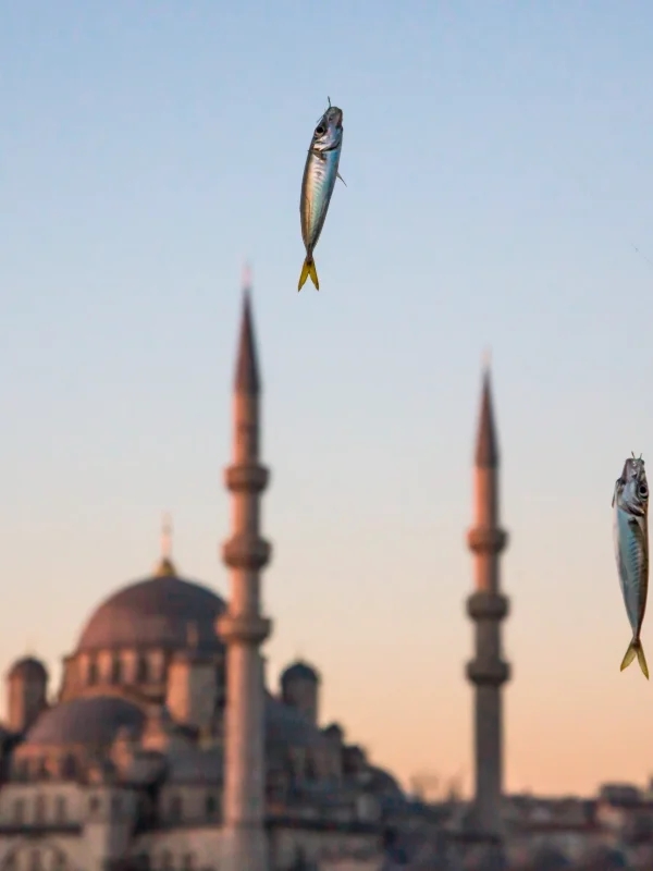Mustafa Seven'in 'Nasip' Sergisi İstanbul'dan Londra'ya Uzanan Bir Bakış