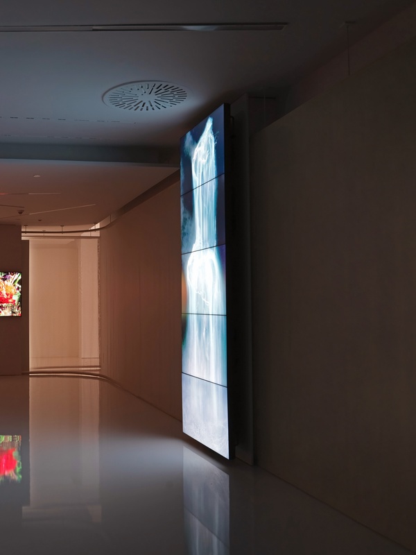 Borusan Contemporary Yeni Sezonu İki Çarpıcı Sergiyle Açıyor
