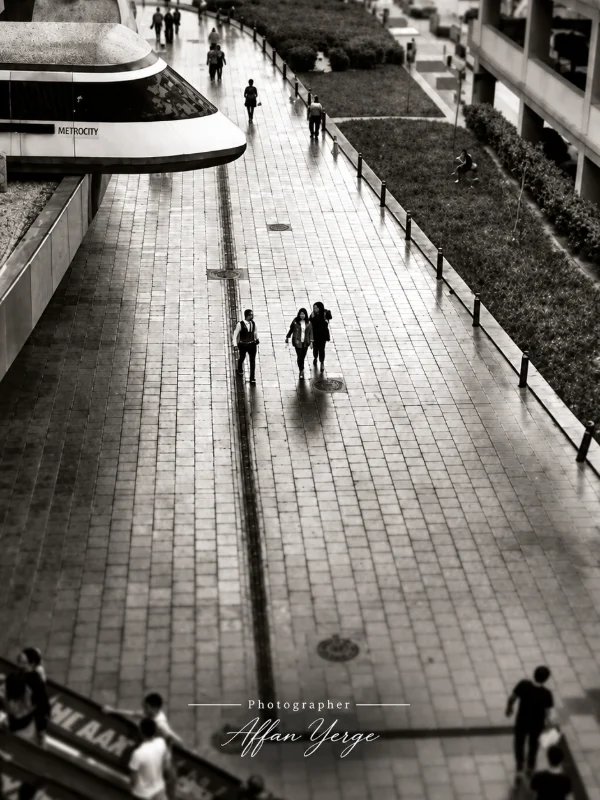 Üç Kişi, Bir Çizgi