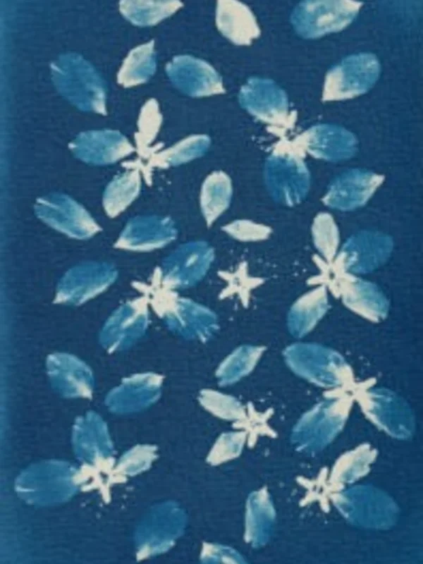 İFSAK'tan 67. Yıl Özel: Ücretsiz Cyanotype Atölyesi