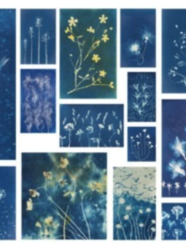 İFSAK'tan Ücretsiz Cyanotype Atölyesi 11 Ekim'de