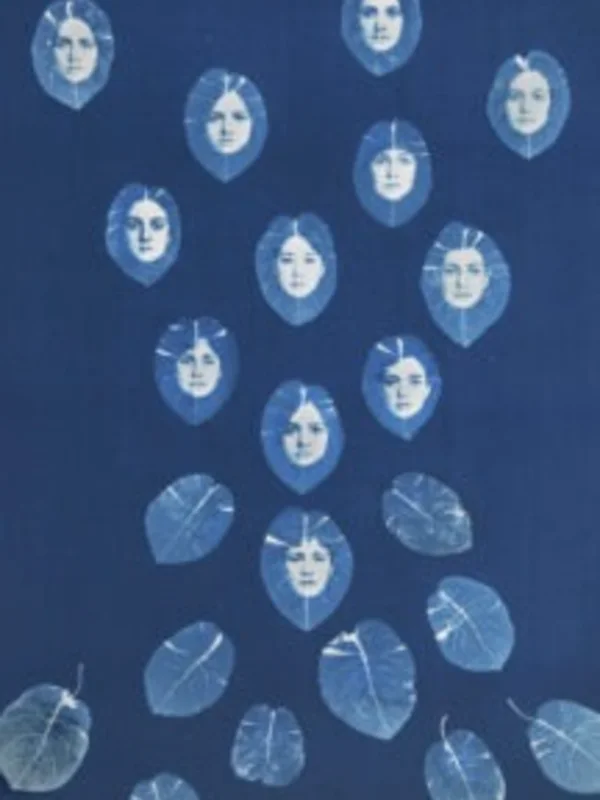 İFSAK'tan Ücretsiz Cyanotype Atölyesi 11 Ekim'de