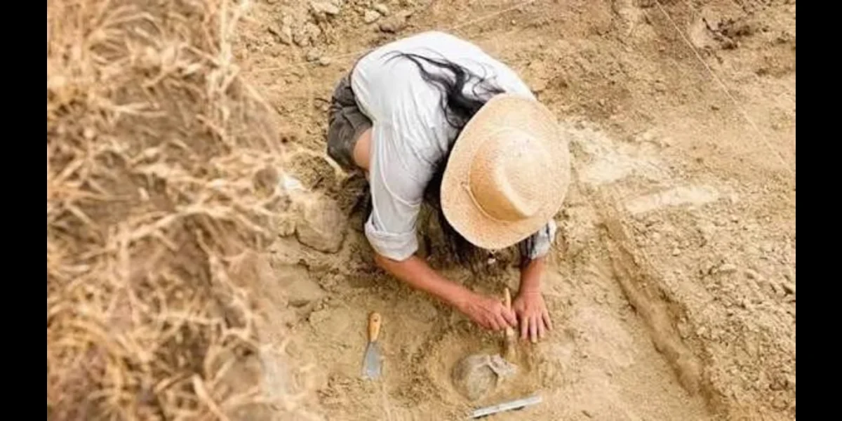 9 bin yıllık şaşırtıcı keşif: Hamile kadının karnında bulundu