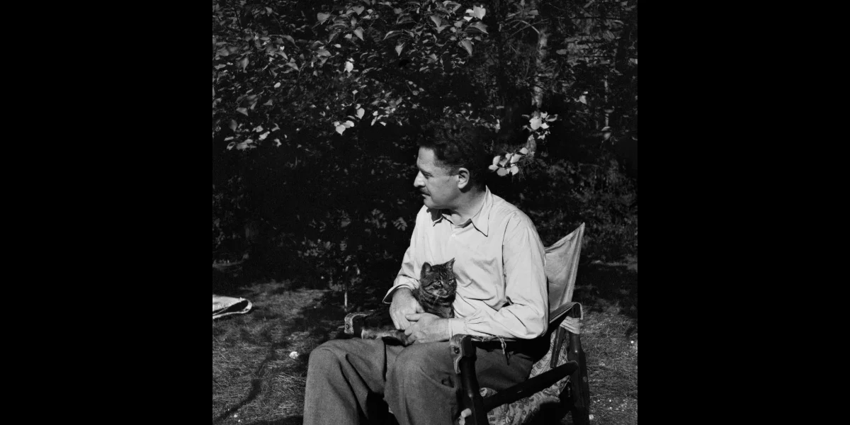 nâzım hikmet'in dünyası “romantika” ile İzmir'de açılıyor