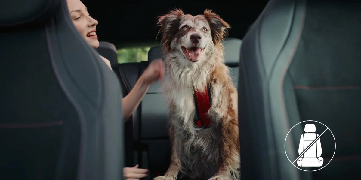 Mercedes-Benz Ve HAÇİKO'dan Köpeklere Özel 'İlk Yolculuk' Filmi