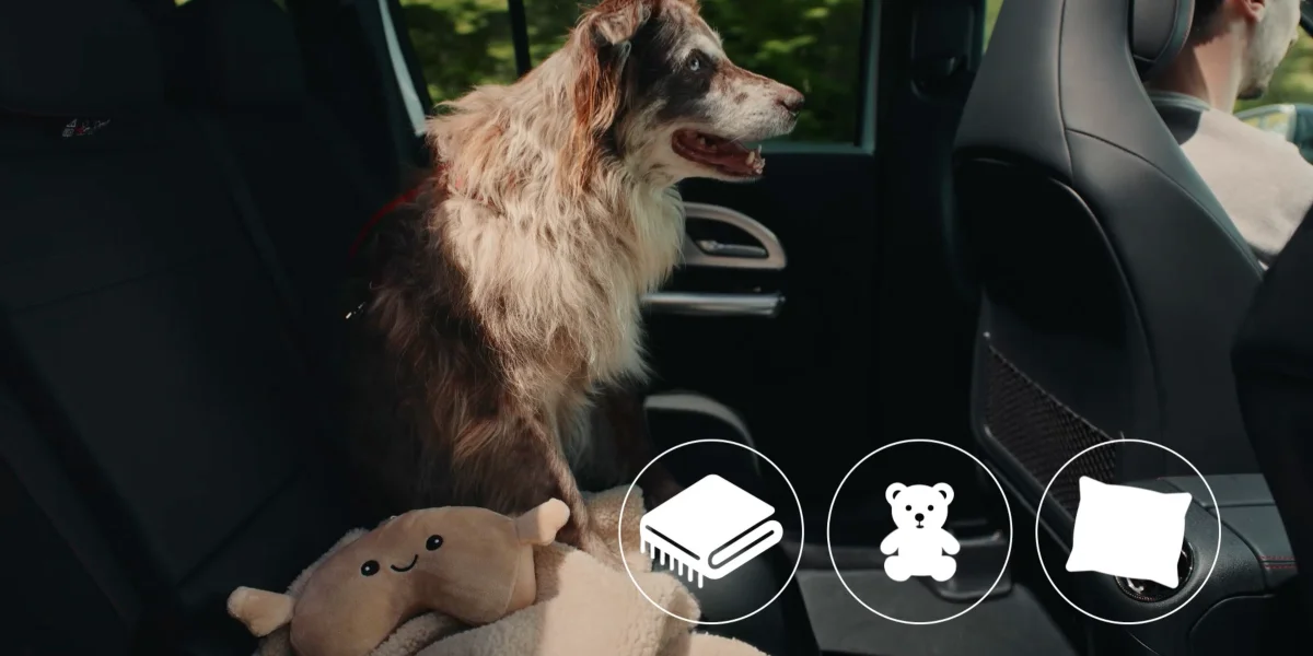 Mercedes-Benz Ve HAÇİKO'dan Köpeklere Özel 'İlk Yolculuk' Filmi