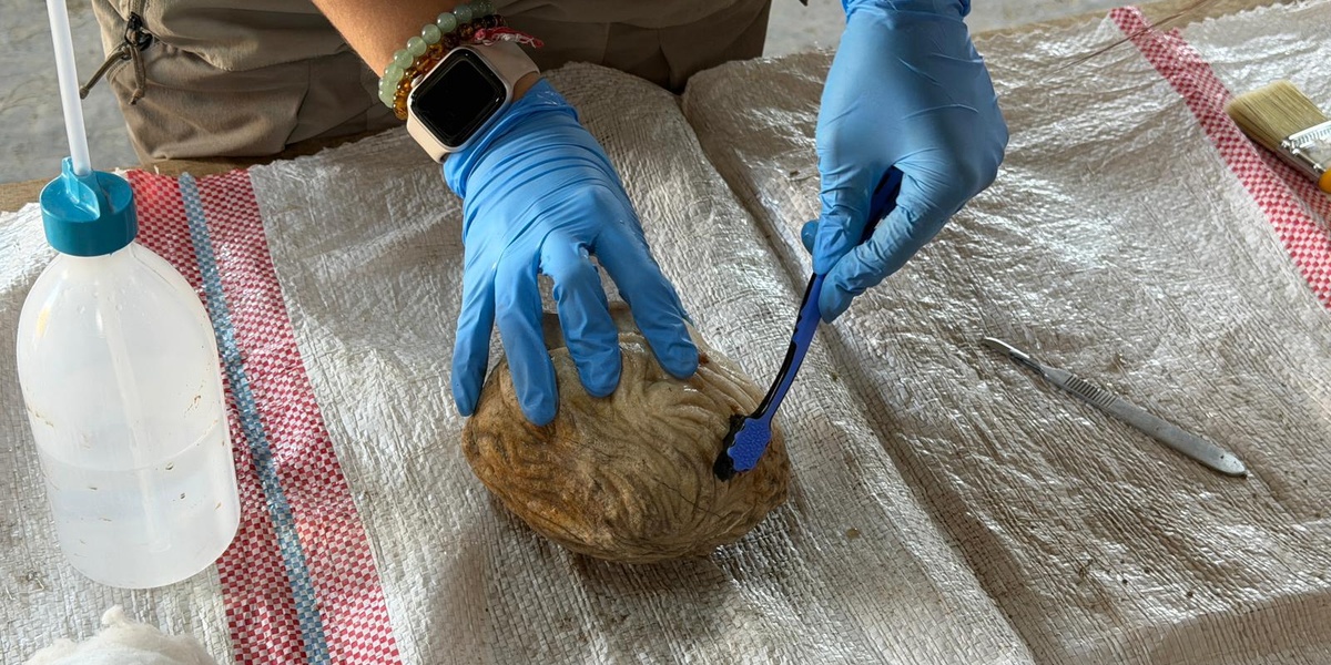 Pompeiopolis'te 105 Metrekarelik Mozaik ve Eros Başı Bulundu