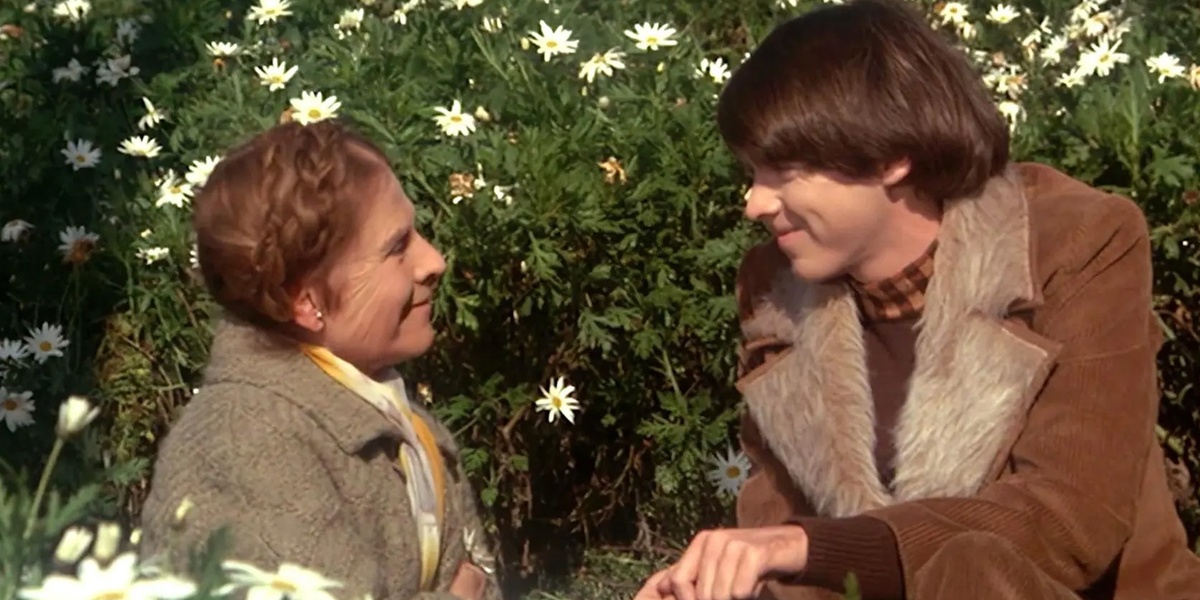 Pera Müzesi'nde 'Harold Ve Maude': Yaşama Tutunmanın Absürt Komedisi