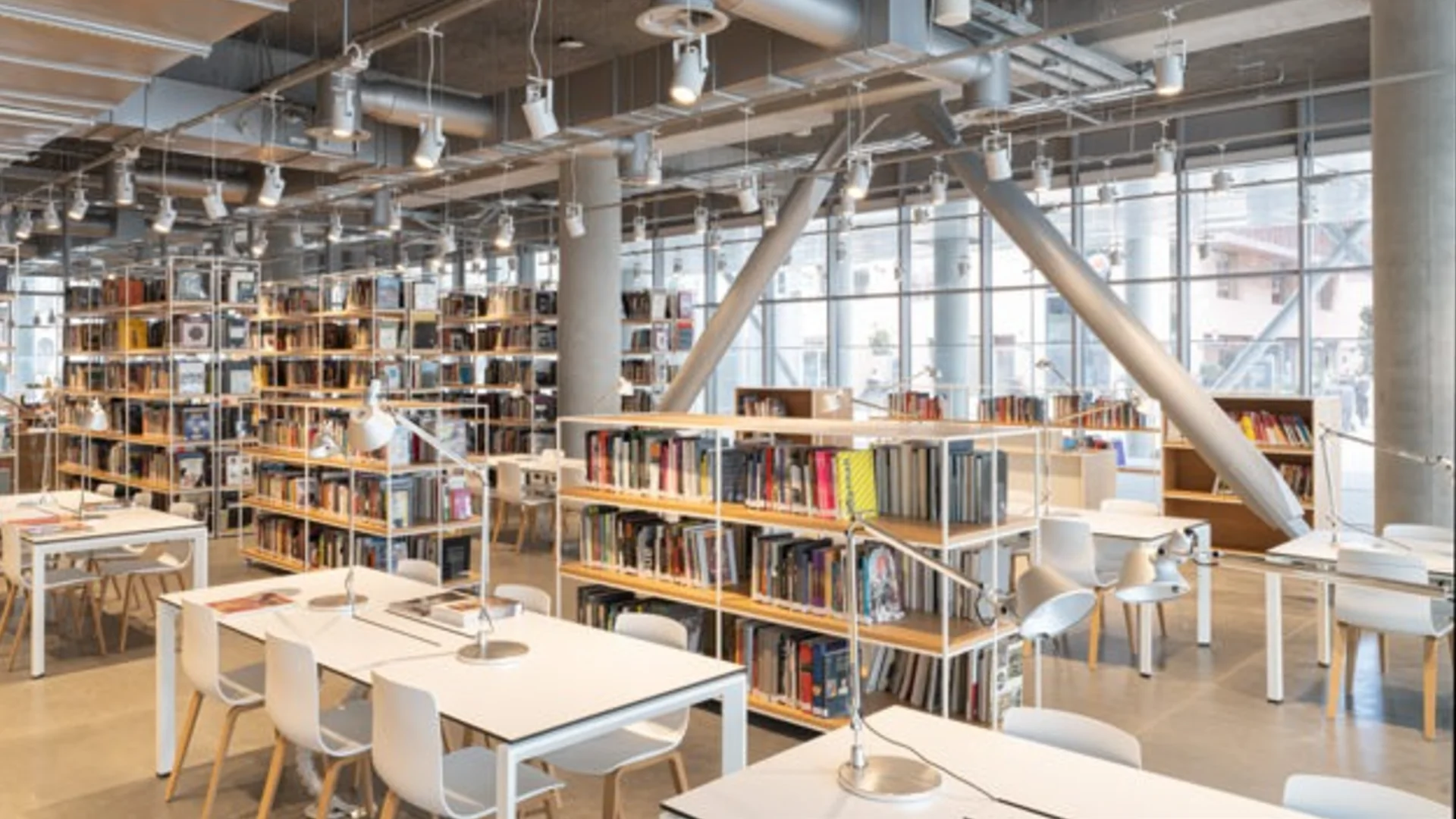 İstanbul Modern'de Büyüsüz Gerçekçilik: Sanat, Hafıza ve Hayatın Tuhaflığı
