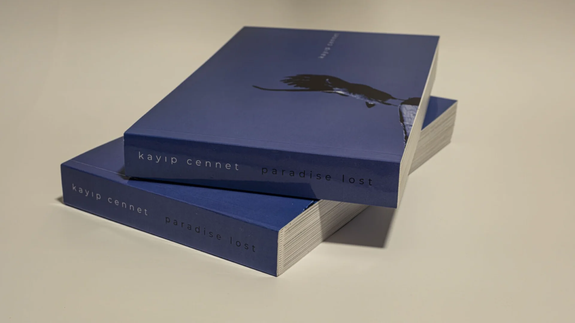 İFSAK'tan Laleper Aytek Danışmanlığında “Kayıp Cennet” Kitap Lansmanı