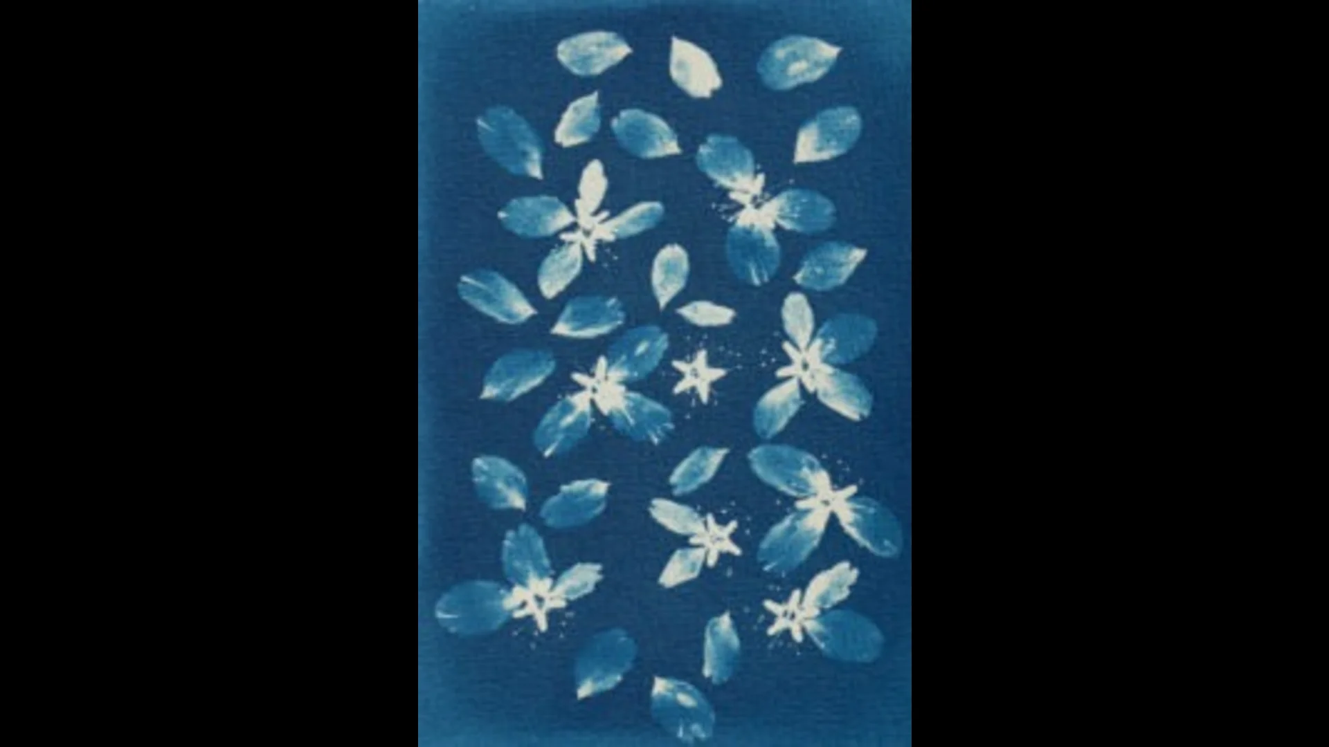 İFSAK'tan Ücretsiz Cyanotype Atölyesi 11 Ekim'de